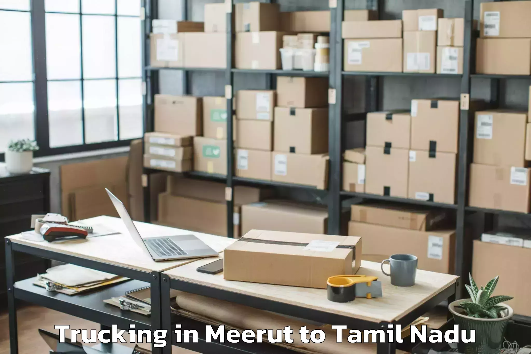 Expert Meerut to Karambakkudi Trucking